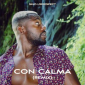 Con Calma (remix) by Daddy Yankee
