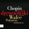 Chopin: Walce, Polonezy młodzieńcze