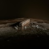 Dust - Single