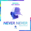 Never Never (Skytech Remix) [feat. Indiiana] - Single