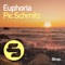 Euphoria (Pic Goes Deep Mix) - Pic Schmitz lyrics