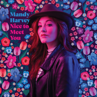 Mandy Harvey - Nice to Meet You artwork