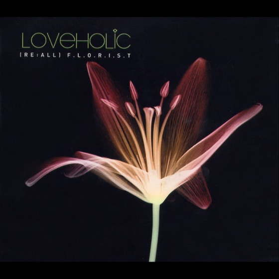 Cover artwork for Loveholic