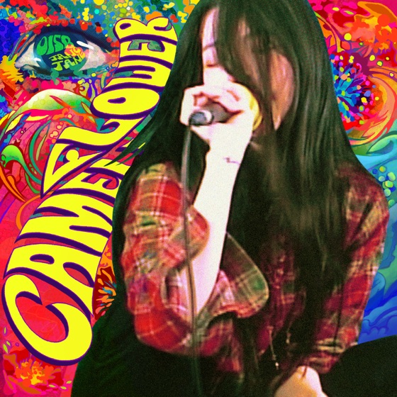 Cover artwork for Camellia Flower