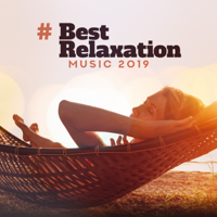 Tranquility Spa Universe, Meditation Music Zone & Relaxation Meditation Songs Divine - # Best Relaxation Music 2019: Background Music, Total Relax, Ambient Sounds for Meditation, Deep Sleep, Spa & Massage, Nature Sounds artwork