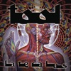 Lateralus, 2001