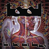 Lateralus artwork