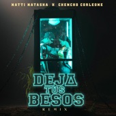 Deja Tus Besos (Remix) artwork
