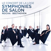 Grande symphonie de salon No. 1 pour neuf instruments en Ré Majeur: IV. Finale. Allegro vivace artwork