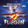 Fliegen (feat. Sisa) - Single