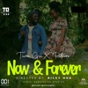 Now and Forever (feat. Petrooz) - Single