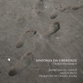 Sinfonia da Liberdade: V artwork