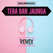 Tera Ban Jaunga (Remix) artwork
