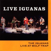 Live Iguanas: Live at Wolf Trap