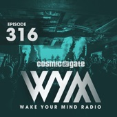 Wake Your Mind Radio 316 artwork