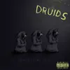 Druids (feat. Merlin, Sigma the Modest, Skelator, jadedsage, Lvckyfvce & Salmia Kira) - Single album lyrics, reviews, download