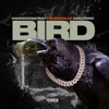 Bird - Single