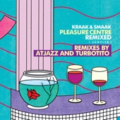 Pleasure Centre (Turbotito Remix) artwork