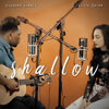 Shallow (feat. Calista Quinn) - Desmond Dennis