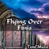 Flying Over Finis (From "Animal Crossing" & "Octopath Traveler") - Single album lyrics, reviews, download