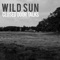 Wake Up - Wild Sun lyrics
