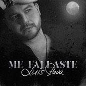 Me Fallaste artwork