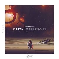 Various Artists - Depth Impressions Issue #12 artwork