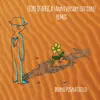 Fiore d'africa (Anniversary Edition) [Remix] - Single album lyrics, reviews, download