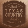 Tcma's Best Texas Country Music Picks, Vol. 2