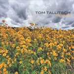 Tom Tallitsch - Moon