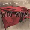 Never Say Die - Single album lyrics, reviews, download