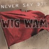 Never Say Die - Single, 2020