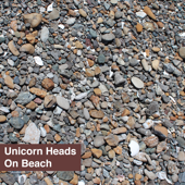 On Beach - Unicorn Heads