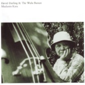 David Darling & The Wulu Bunun - Lugu Lugu Kan-Ibi