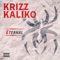 Avoiding Mirrors (feat. Jelly Roll & Merkules) - Krizz Kaliko lyrics