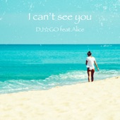 I can't see you (feat. Alice) artwork