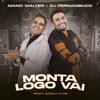 Monta Logo Vai (Remix Brega Funk) - Single