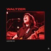 Waltzer on Audiotree Live