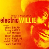 Electric Willie artwork