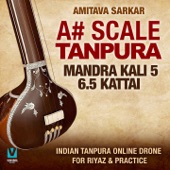 A# Scale Tanpura - Mandra Kali 5, 6.5 Kattai (Indian Tanpura Online Drone For Riyaz & Practice) artwork