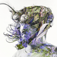 Curls-Bibio