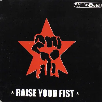 Raise Your Fist - Single - Janez Detd