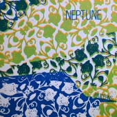 Neptune - The Penetrating Gaze