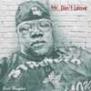 Mr. Don't Leave - Single