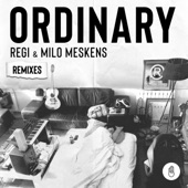 Ordinary (Jaxx & Vega Remix) artwork