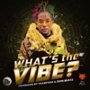 What's the Vibe? - Single