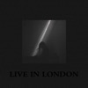 HVOB - Dogs (Live)