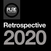 Pure Progressive: Retrospective 2020 artwork
