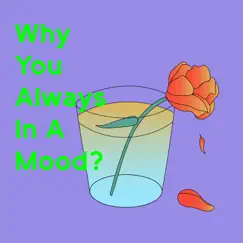 Why You Always in a Mood? - Single by Nosy beats album reviews, ratings, credits