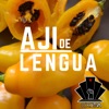 Ají de Lengua - Single, 2019